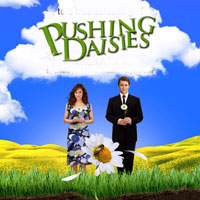 ‘Pushing Daisies’ May be Broadway Bound, Chenoweth to Join?